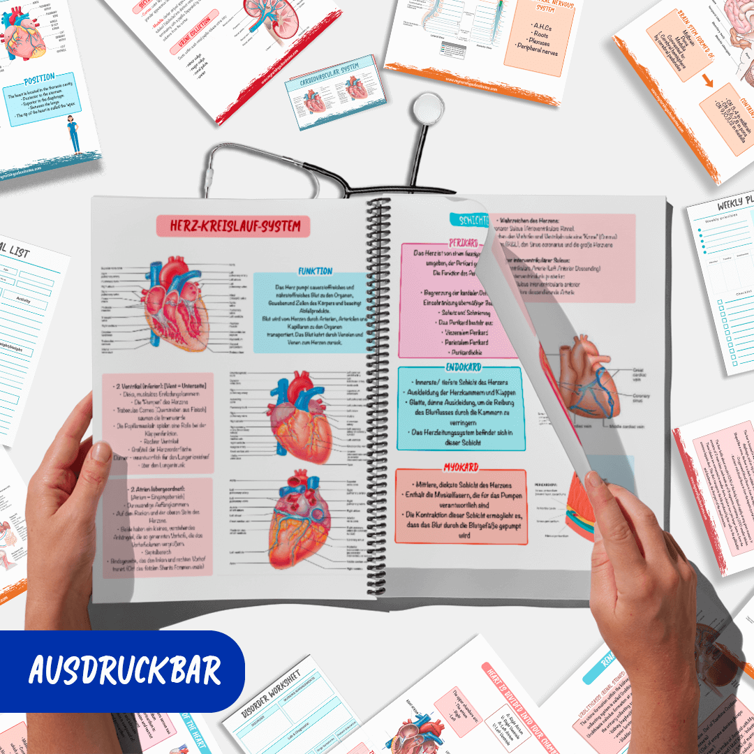 Das Medizinstudium Paket